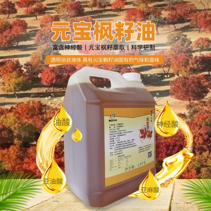 元寶楓籽油